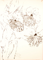 Flower Drawing