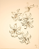 Flower Drawing