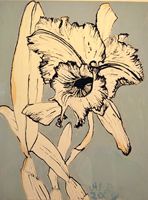 orchid, Paraty, 2009 24 x 18 inches, ink and oil