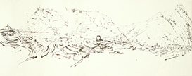 Ink Drawing 25