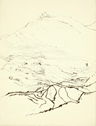 Ink Drawing 49