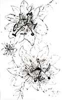 Flower Drawing