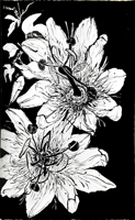 Flower Drawing