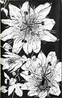 Flower Drawing