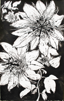 Flower Drawing