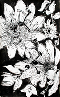Flower Drawing