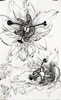 Flower Drawing