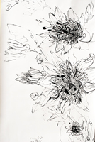 Flower Drawing