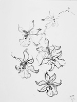 Flower Drawing