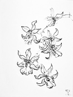 Flower Drawing