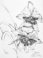 Flower Drawing