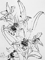 Flower Drawing