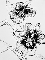 Flower Drawing