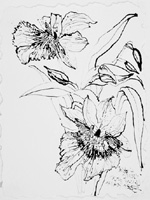 Flower Drawing