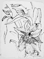 Flower Drawing