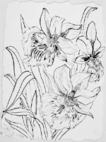 Flower Drawing