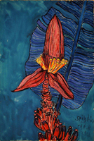 Flowershow