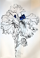 Flower Show