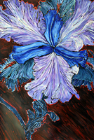 Flower Show