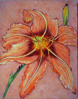 day lilies