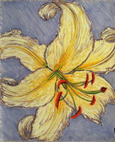 day lilies