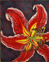 day lilies