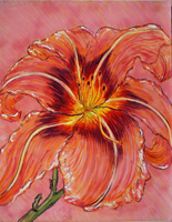 day lilies