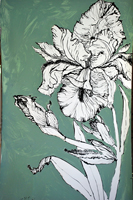Flower Drawing
