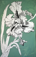 Flower Drawing