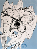 Flower Drawing