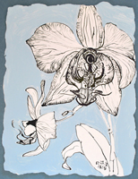 Flower Drawing