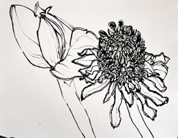 Flower Drawing