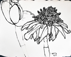 Flower Drawing
