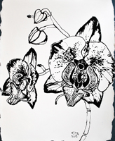 Flower Drawing