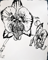 Flower Drawing