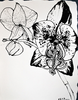 Flower Drawing