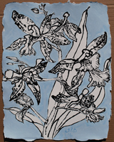 Flower Drawing