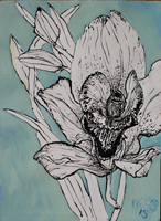 Flower Drawing