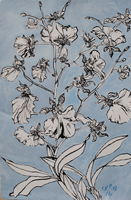 Flower Drawing
