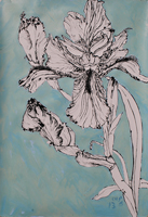 Flower Drawing
