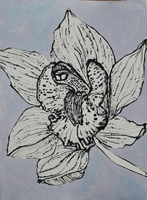 Flower Drawing