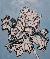 Flower Drawing