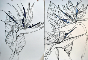 Flower Drawing