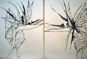 Flower Drawing