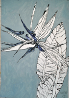 Flower Drawing