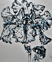 Flower Drawing