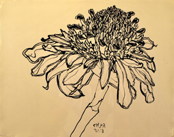 Flower 1