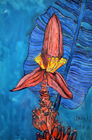 banana flower, St. Martin, 2011, 21 x 16 inches, gouache