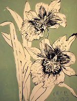 miltonia, Paraty, 2009  24 x 18 inches, ink and oil