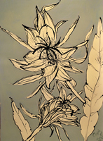 cactus flower, St. Martin, 2015, 24 x 18 inches, ink and oil